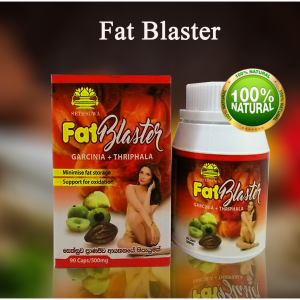 Flat Blaster